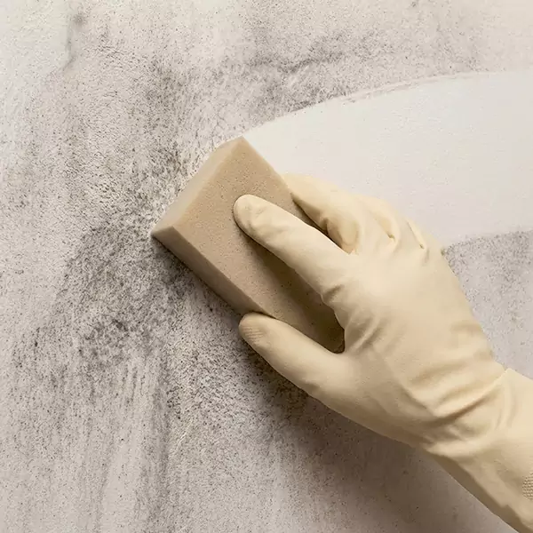 Smoke Cleaning in Sunrise, FL 