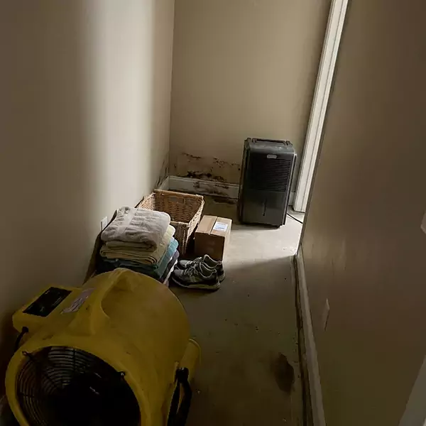 Expert Water Remediation in Sunrise, FL 