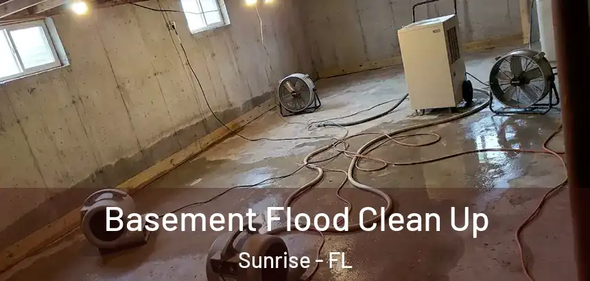 Basement Flood Clean Up Sunrise - FL