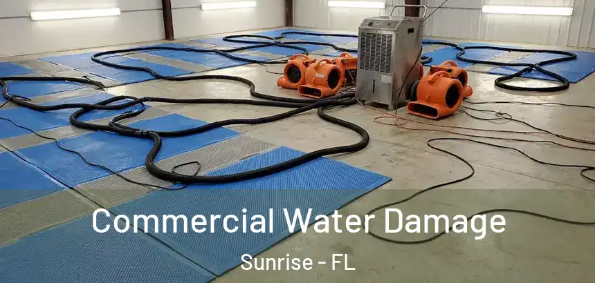  Commercial Water Damage Sunrise - FL