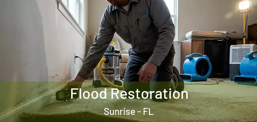 Flood Restoration Sunrise - FL