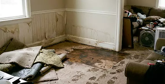 Why Choose Sunrise 945 Water Damage For Water Damage Restoration Services in Sunrise, FL?