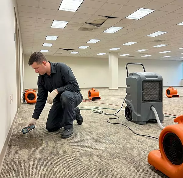 Why Businesses Choose Sunrise 945 Water Damage for Commercial Water Damage in Sunrise, FL?