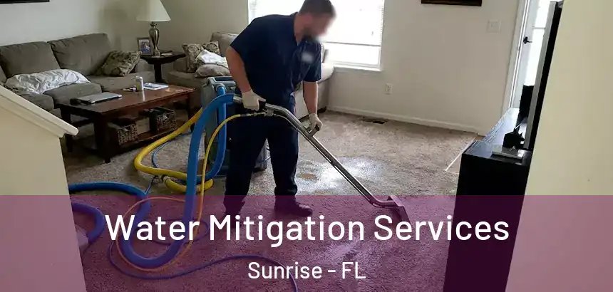  Water Mitigation Services Sunrise - FL
