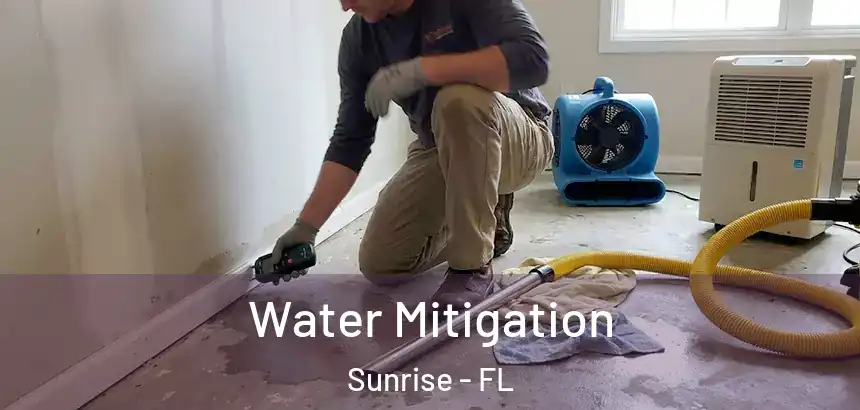 Water Mitigation Sunrise - FL